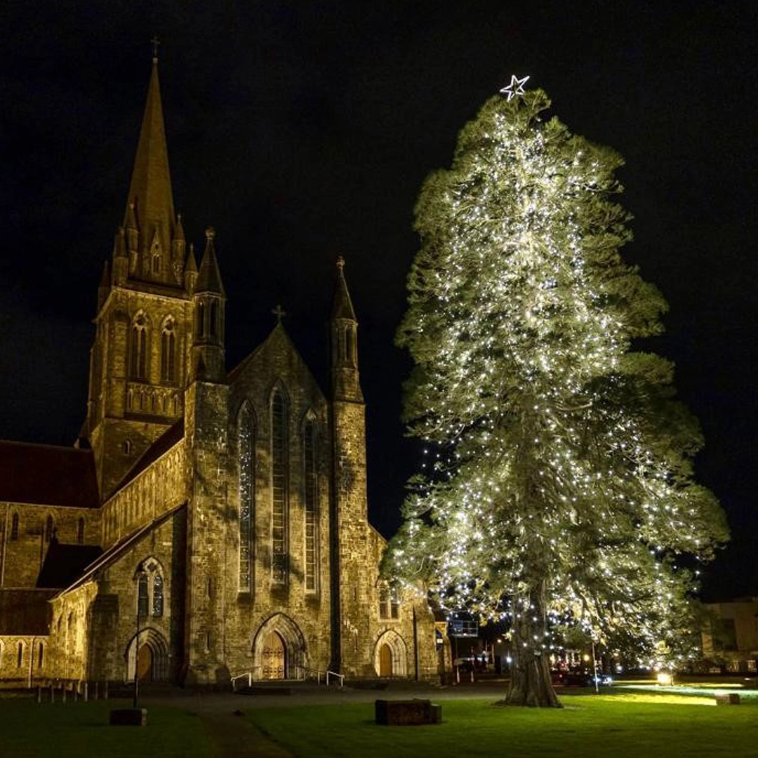 Killarney Tree of Light