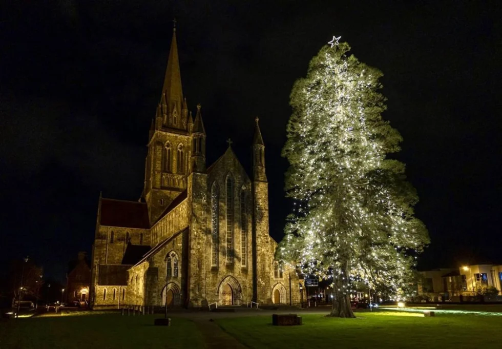Tree of light outside Cathedral