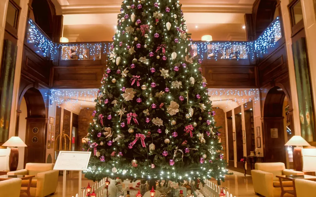 Lighting of the Christmas Tree in aid of St. Francis Special School